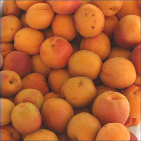 Ovocné gule