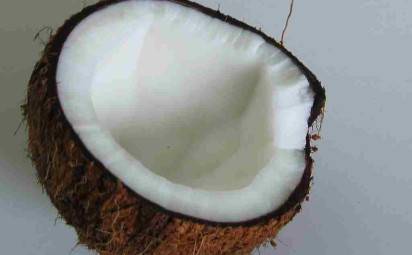 Kokosové mlieko a kokosový olej?