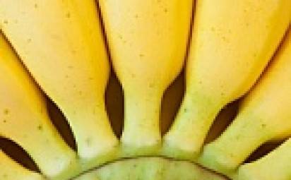 Príbeh o banáne