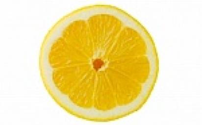 Niečo o citrónoch