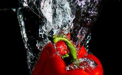 Fotogaléria – montáže a „bleskové“ fotografie z akvária 