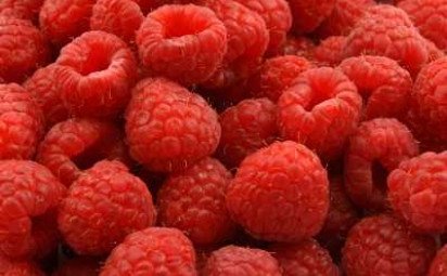 Palacinky s letným ovocím