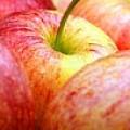 Jablkový krémeš