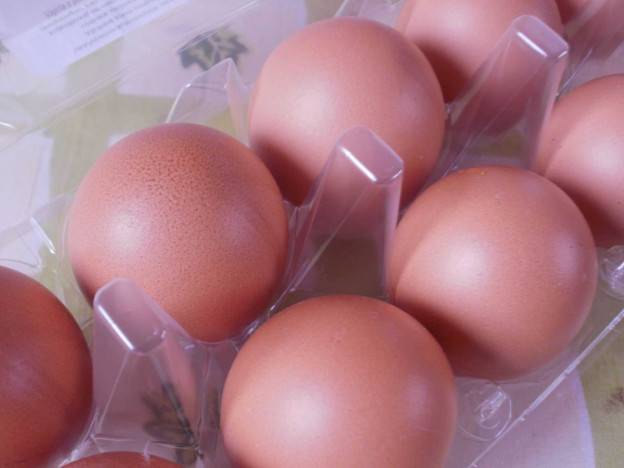 Ako vás môže zachrániť obyčajné vajíčko?