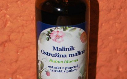 Gemmoterapia – prírodná lekáreň