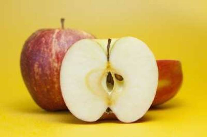 Obrátený jablčník
