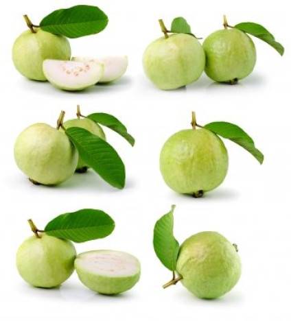 Guava posilňuje imunitu a prospieva aj tehotným