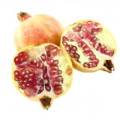Granátové jablká pomáhajú predchádzať infekciám močových ciest