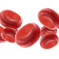 Ako podporiť krvný obeh? 