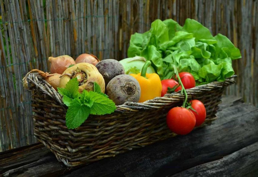 Za únavou, anémiou i oslabenou imunitou môže byť deficit B vitamínov Za únavou, anémiou i oslabenou imunitou môže byť deficit B vitamínov