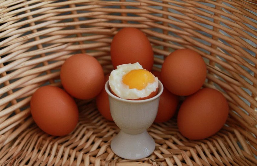 Lecitín – poklad pre mozog, postrach pre cholesterol Lecitín – poklad pre mozog, postrach pre cholesterol