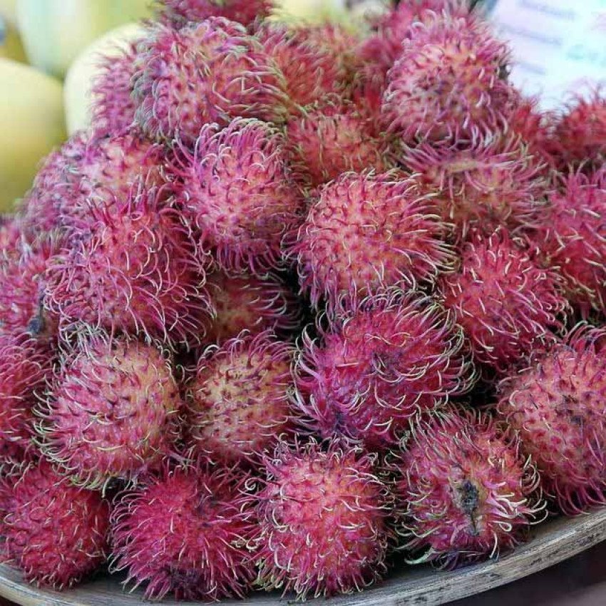 Rambután – zdravá a prospešná pochúťka