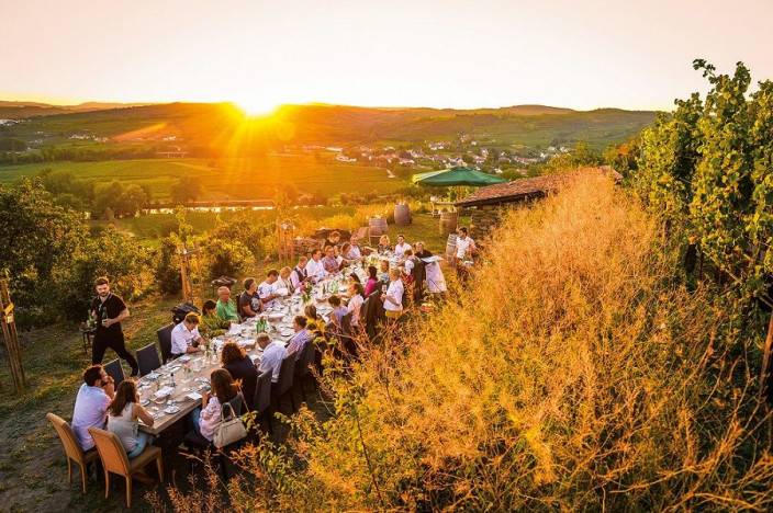 Toto je 5 dôvodov, pre ktoré sa oplatí navštíviť Dolné Rakúsko počas vinárskej jesene