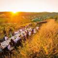 Toto je 5 dôvodov, pre ktoré sa oplatí navštíviť Dolné Rakúsko počas vinárskej jesene