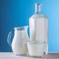 Výživový poradca radí: Čím nahradiť mliečne výrobky? 
