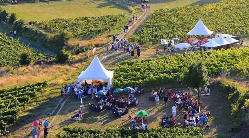 Navštívte najdlhší vínny bar v Rakúsku na dolnorakúskom podujatí Pôžitkárska míľa