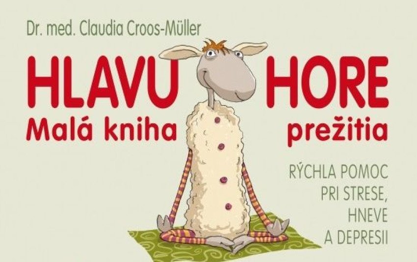 Hlavu hore! Malá kniha prežitia