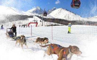 Do Tatranskej Lomnice mieria Snežné psy