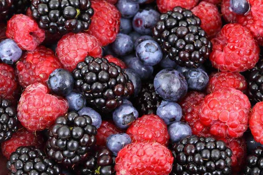 Bojíte sa starnutia? Jedzte týchto 8 anti-aging potravín! Bojíte sa starnutia? Jedzte týchto 8 anti-aging potravín!
