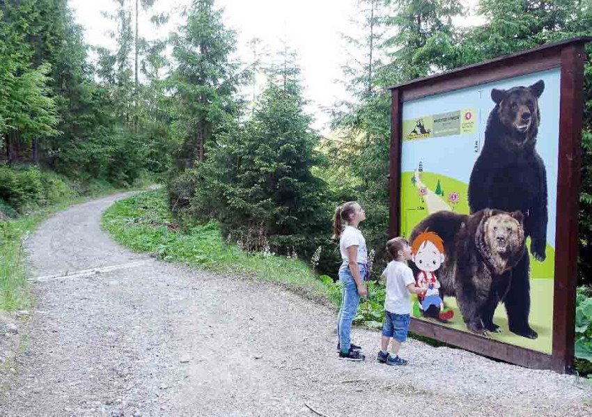 Medvedia cesta na Liptove Medvedia cesta na Liptove