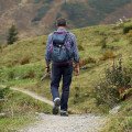Zistenie borélií z kliešťa odhalí včas riziko nebezpečného ochorenia