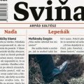 Arpád Soltész: SVIŇA