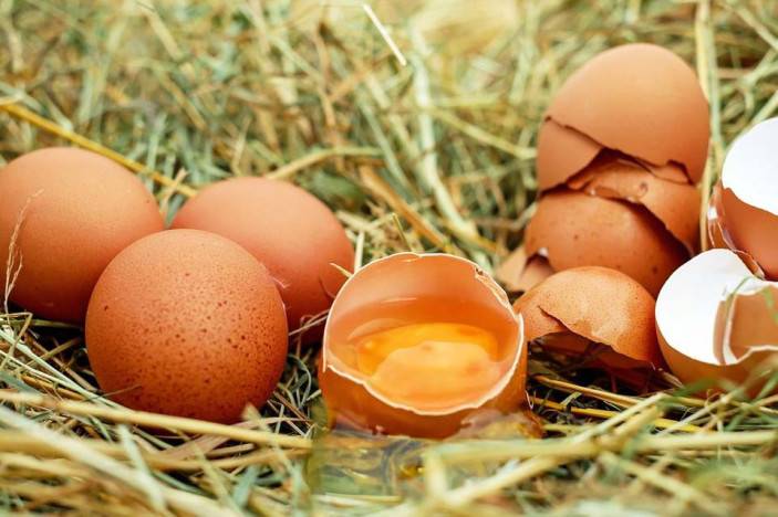 5 zaujímavostí o slepačích vajíčkach