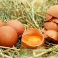 5 zaujímavostí o slepačích vajíčkach