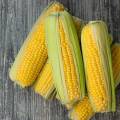 Kukurica – sú žlté zrniečka zdravé, alebo nie? 