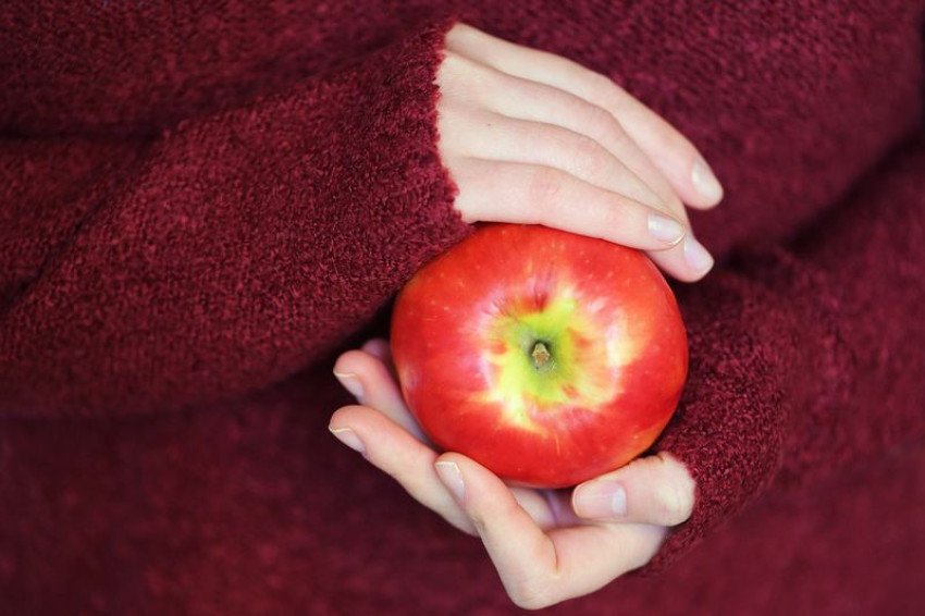 Vitamín C posilňuje imunitu. Odkiaľ ho čerpať v zime? Vitamín C posilňuje imunitu. Odkiaľ ho čerpať v zime?