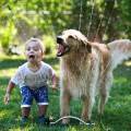 Ak chcete mať šťastné dieťa, zaobstarajte mu zvieracieho kamaráta