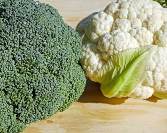 Brokolicové (karfiolové) placky