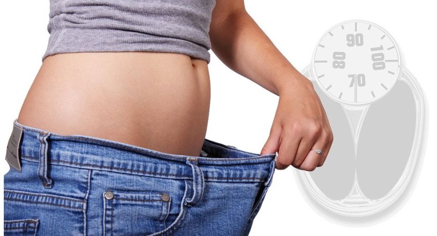 Pudingy, palacinky či proteínové tyčinky – bielkovinovú diétu KetoDiet si zamilujete Pudingy, palacinky či proteínové tyčinky – bielkovinovú diétu KetoDiet si zamilujete