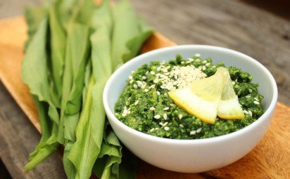 Pesto z medvedieho cesnaku s parmezánom a sezamom