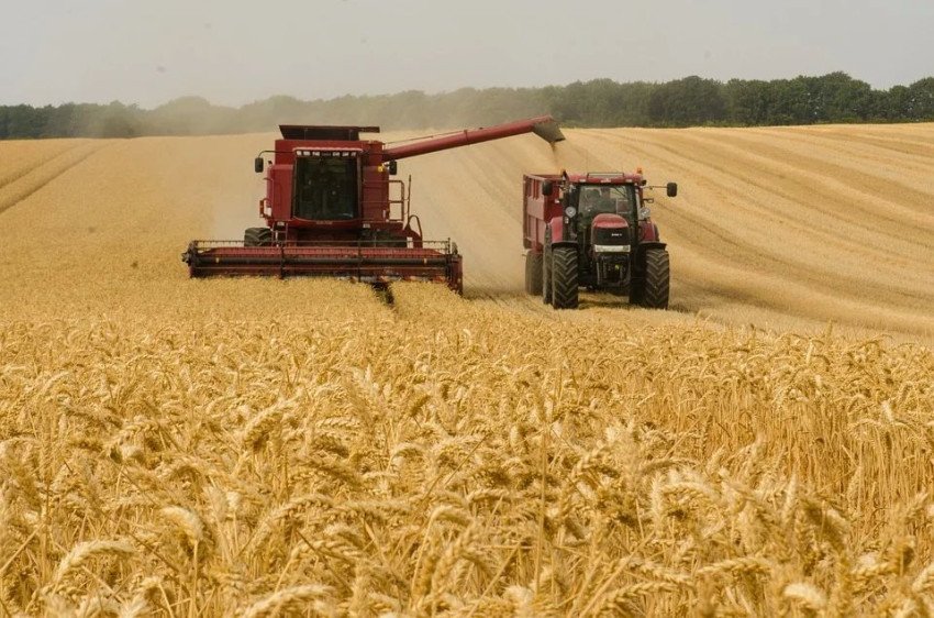 Farmári bijú na poplach, zber úrody má prísť v čase kulminácie koronavírusu. 