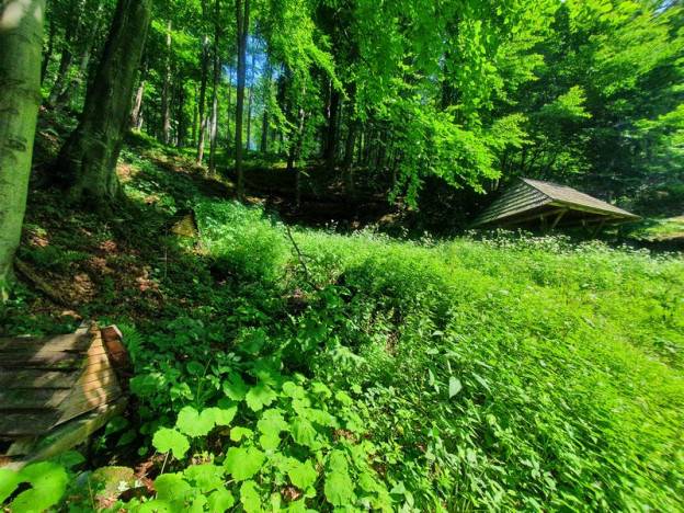 V Bardejovských Kúpeľoch pokračuje revitalizácia turistických atrakcií