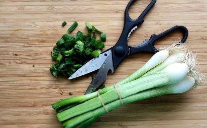 Jarná cibuľka – poklad nabitý vitamínmi 