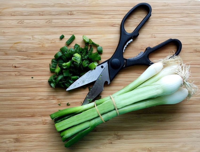 Jarná cibuľka – poklad nabitý vitamínmi 