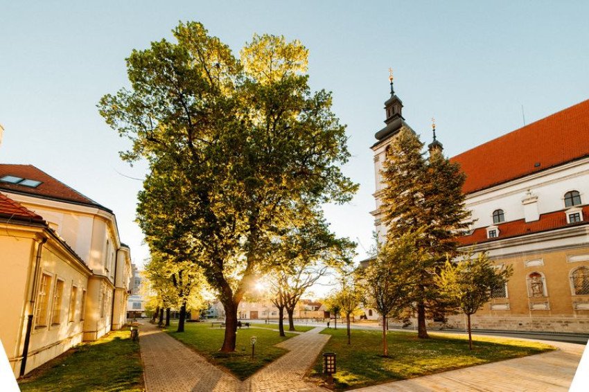 LETNÉ PREHLIADKY A CYKLOPREHLIADKY TRNAVY