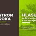 Štartuje hlasovanie v ankete Strom roka 2021.