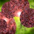 Komplikuje HPV vírus život iba ženám?