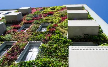 Moderné živé stavby: Ako sa starať o zelené steny a strechy? 