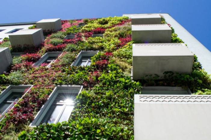 Moderné živé stavby: Ako sa starať o zelené steny a strechy? 
