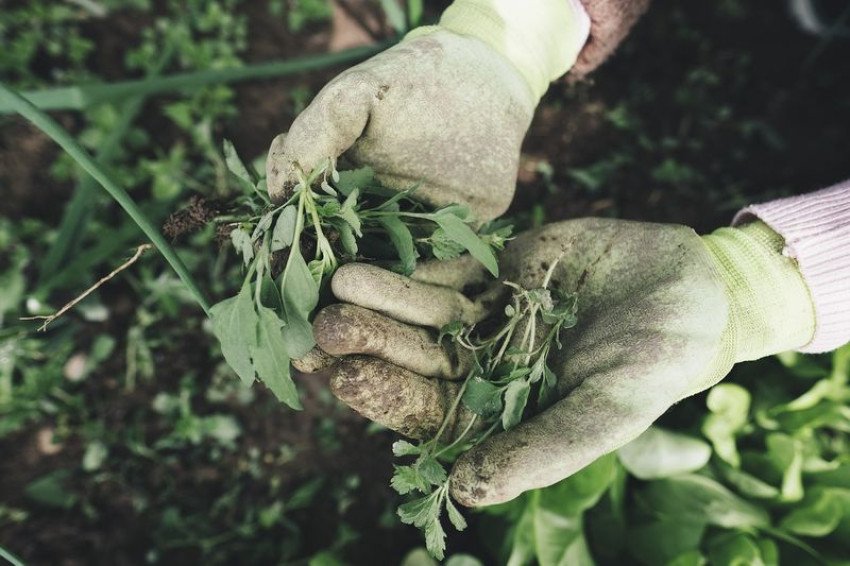Stavebné stroje ako pomocníci na farme Stavebné stroje ako pomocníci na farme