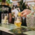  Nádvorie v Trnave ožije tropickým svetom rumových nápojov 
