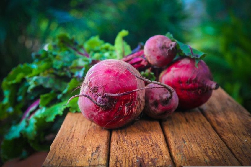 Marinovaná červená repa s mozzarellou Marinovaná červená repa s mozzarellou