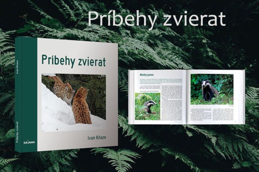 Príbehy zvierat. Fascinujúce rozprávanie i fotografie