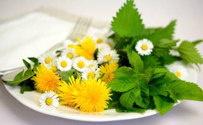 Prvé jarné kvety: ktoré sú liečivé a na čo ich použiť