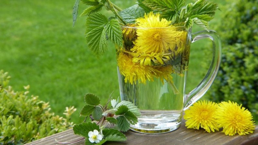 Jarná detoxikácia: ako očistiť telo po zime? Jarná detoxikácia: ako očistiť telo po zime?