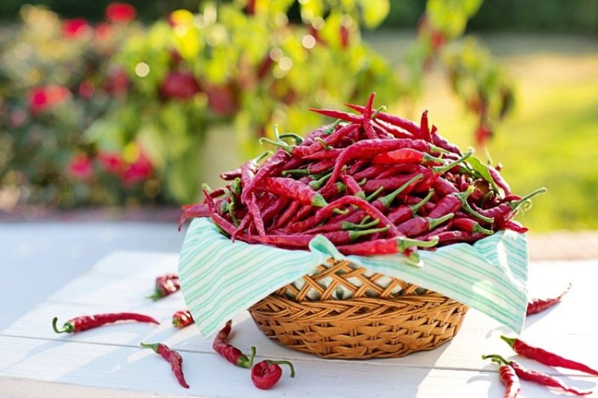 Mletá červená paprika a jej výhody Mletá červená paprika a jej výhody